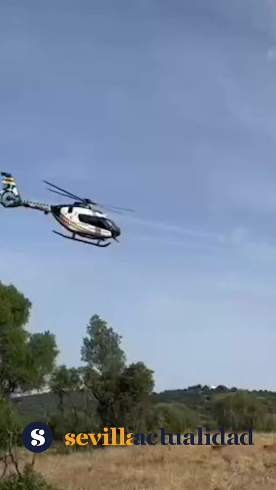 Post 4 by Sevilla Actualidad on TikTok (video)