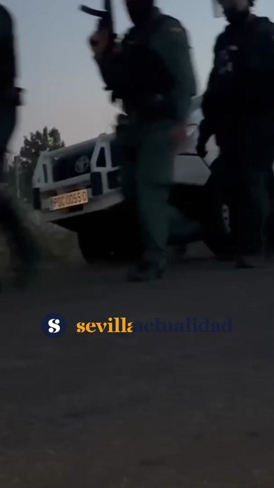 Post 1 by Sevilla Actualidad on TikTok (video)