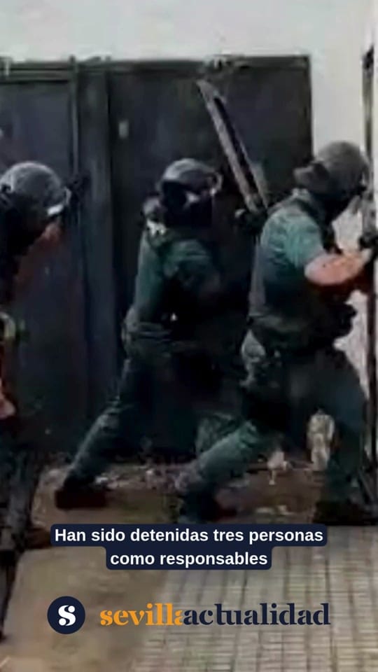 Post 7 by Sevilla Actualidad on TikTok (video)