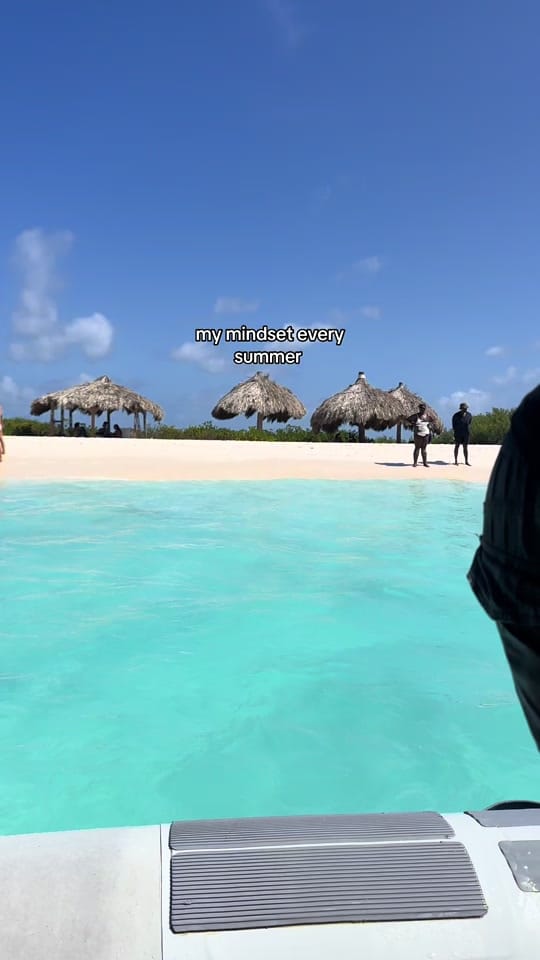 Post 3 by syyydney on TikTok (video)