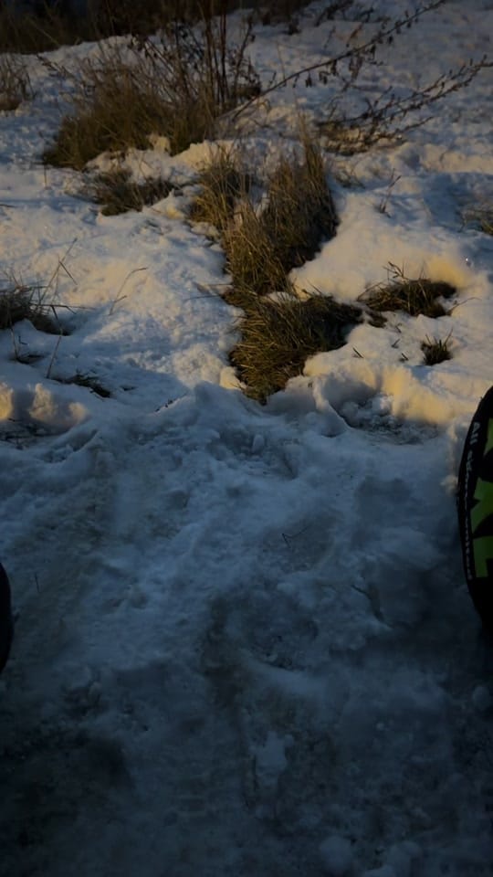 Post 2 by Juanjo Orta on TikTok (video)