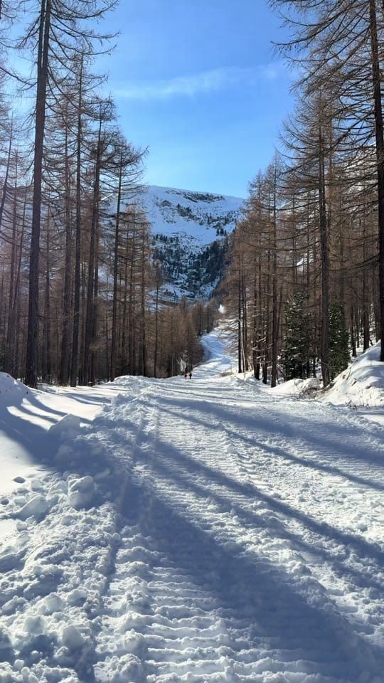 Post 1 by Juanjo Orta on TikTok (video)