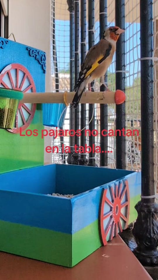 Post 6 by Joaquin on TikTok (video)