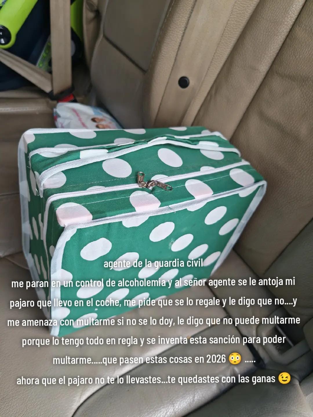 Post 4 by Joaquin on TikTok (video)