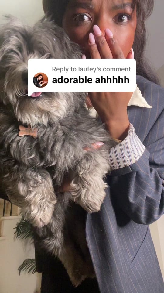 Post 10 by withlovechima on TikTok (video)