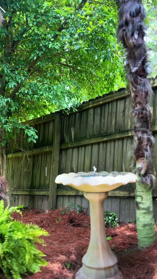 Post 4 by OLIVIA REMEDIES on TikTok (video)