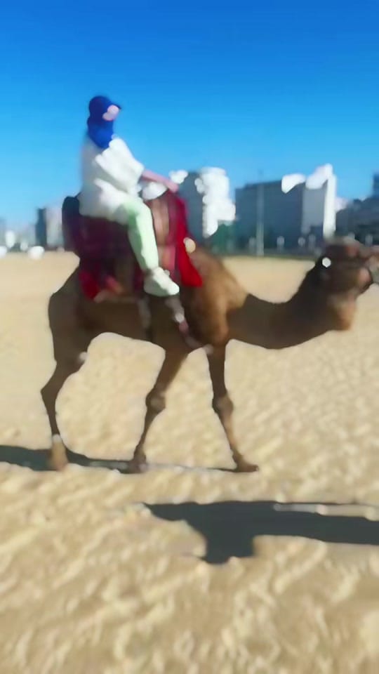 Post 3 by El Calvito De TikTok  on TikTok (video)