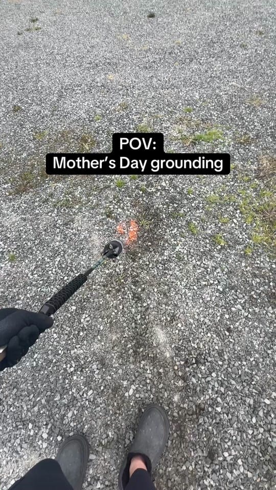 Post 10 by Alexandra Elizabeth on TikTok (video)