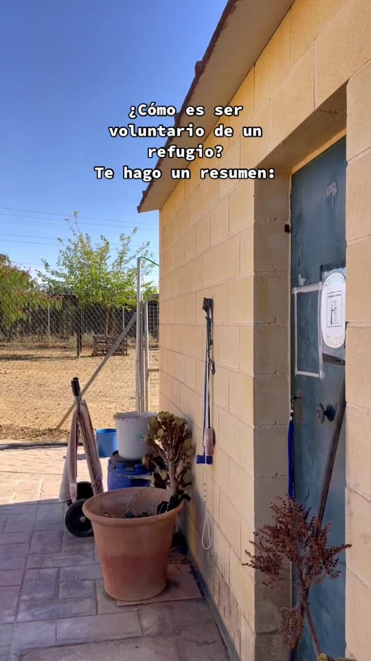 Post 10 by ARCA SEVILLA on TikTok (video)