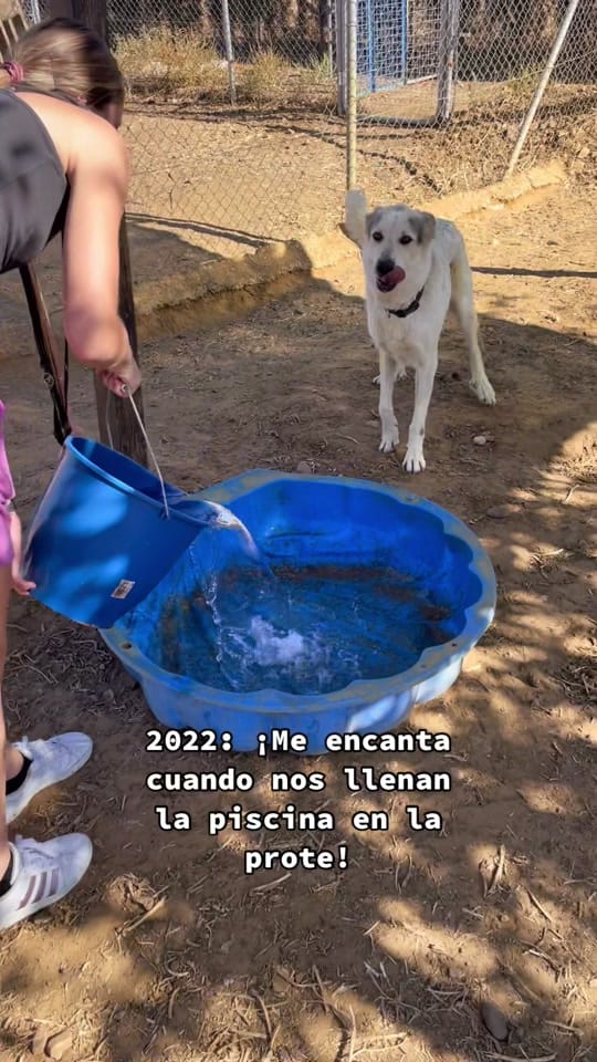 Post 9 by ARCA SEVILLA on TikTok (video)