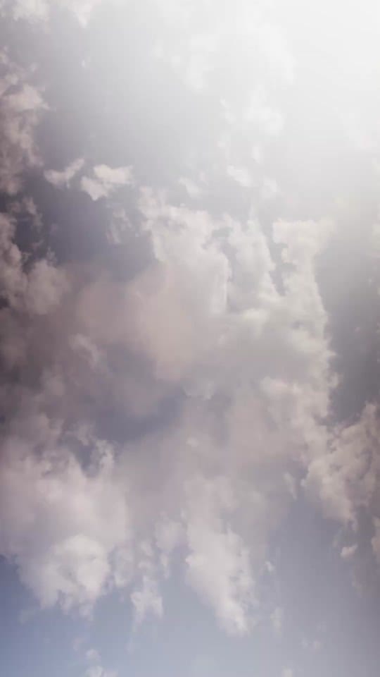 Post 5 by Biltmore on TikTok (video)