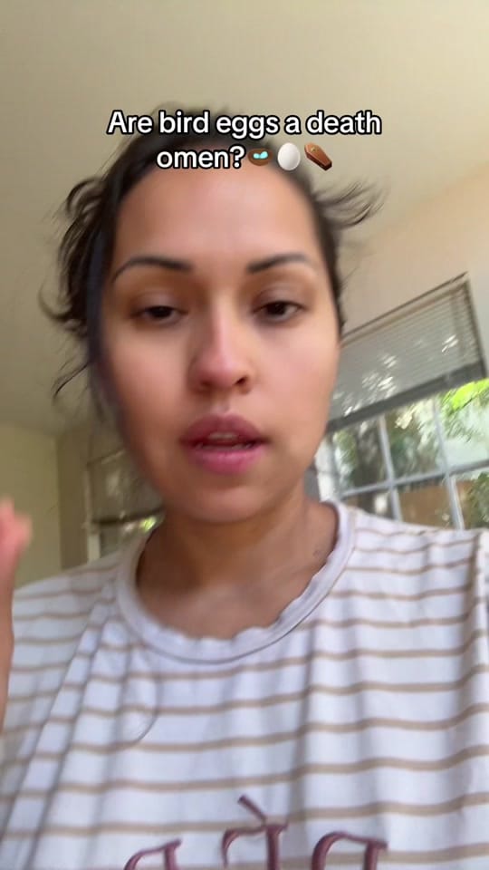 Post 7 by Stephanie Martinez ✨👁️ on TikTok (video)