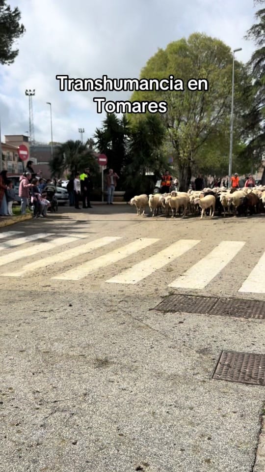 Post 1 by Cristina Jimenez Segovia on TikTok (video)
