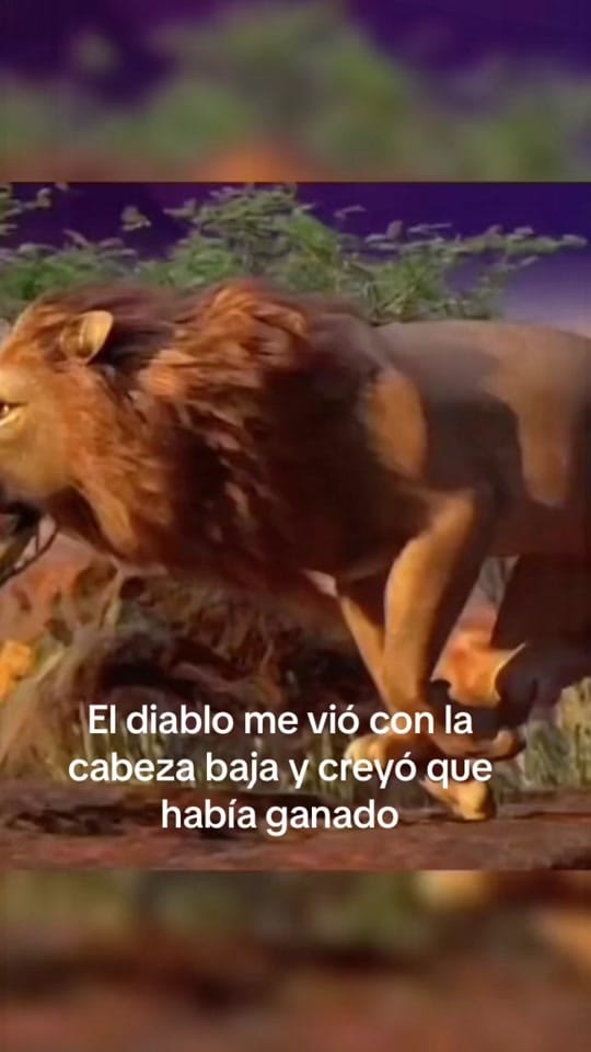 Post 5 by Juanka🤍 on TikTok (video)