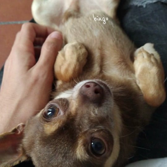Post 3 by Juanka🤍 on TikTok (video)