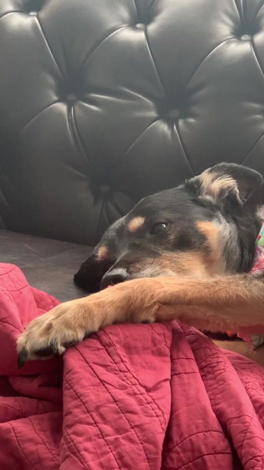 Post 4 by FatherGarrett on TikTok (video)