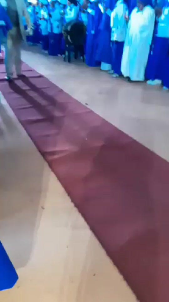 Post 4 by Collen Hans on TikTok (video)