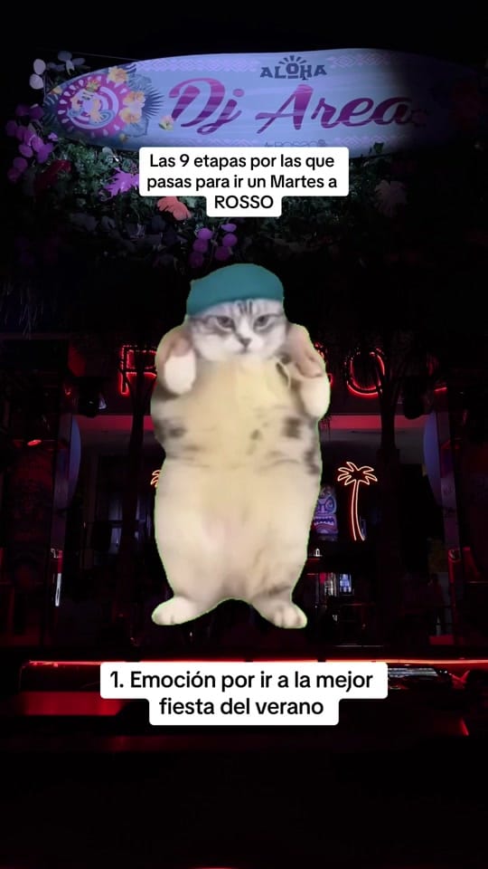 Post 9 by alvarosd10 on TikTok (video)