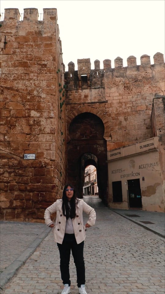 Post 1 by losjipis on TikTok (video)