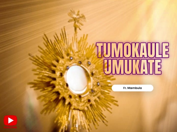 Post 1 by fr_arthur 🇿🇲 on TikTok (video)