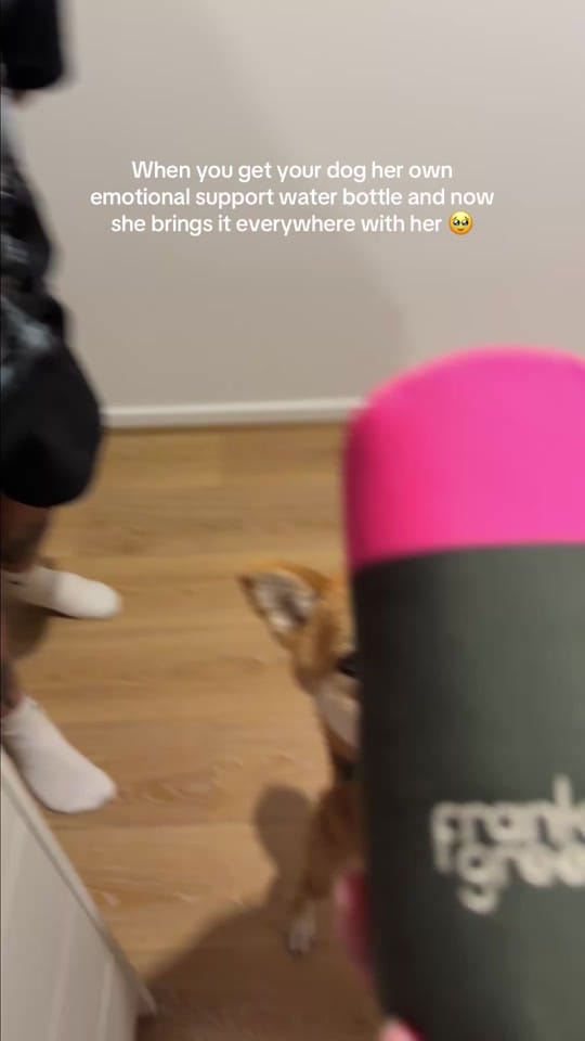 Post 7 by Kat 💖 | Lifestyle + UGC ✨ on TikTok (video)