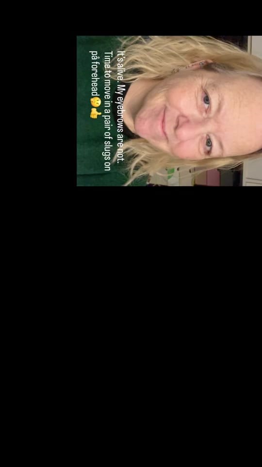 Post 5 by Elisabeth🇳🇴art_by_lizzard on TikTok (video)