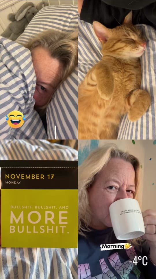 Post 10 by Elisabeth🇳🇴art_by_lizzard on TikTok (video)