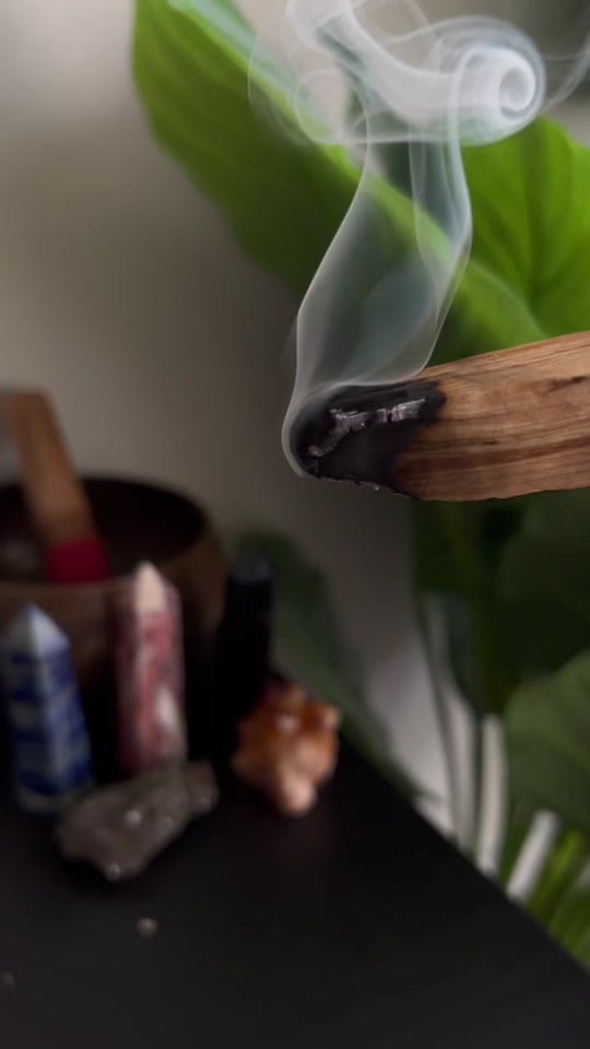 Post 5 by CedraFinesse on TikTok (video)