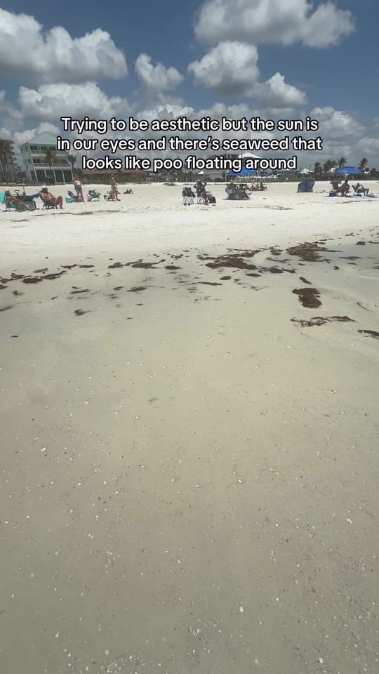 Post 2 by savanaglisson on TikTok (video)