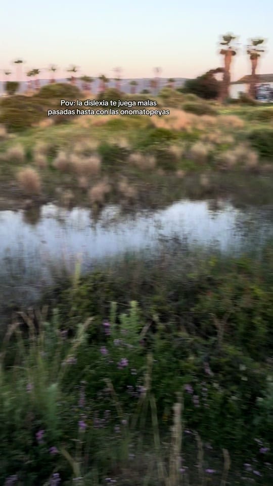 Post 6 by Evittrece on TikTok (video)
