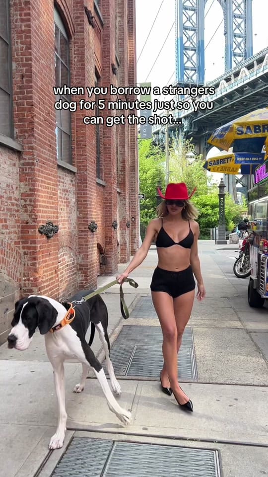 Post 10 by pixpop ⋆ ★ on TikTok (video)