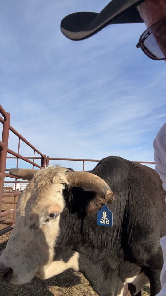 Post 10 by jefftackett on TikTok (video)