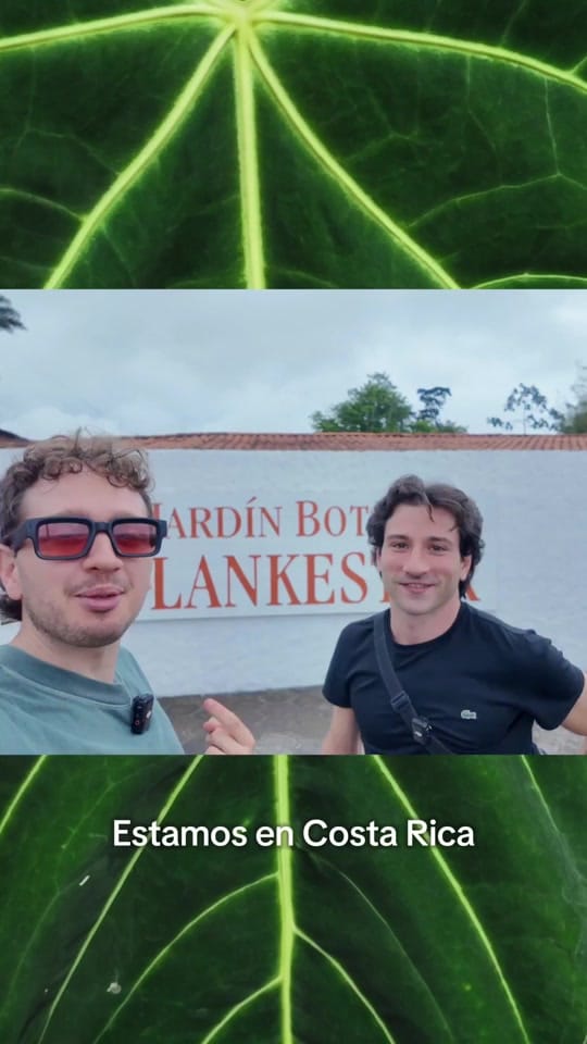 Post 1 by Habitanica on TikTok (video)
