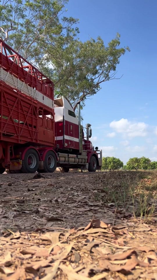 Post 2 by (Nav) Compass Contracting on TikTok (video)