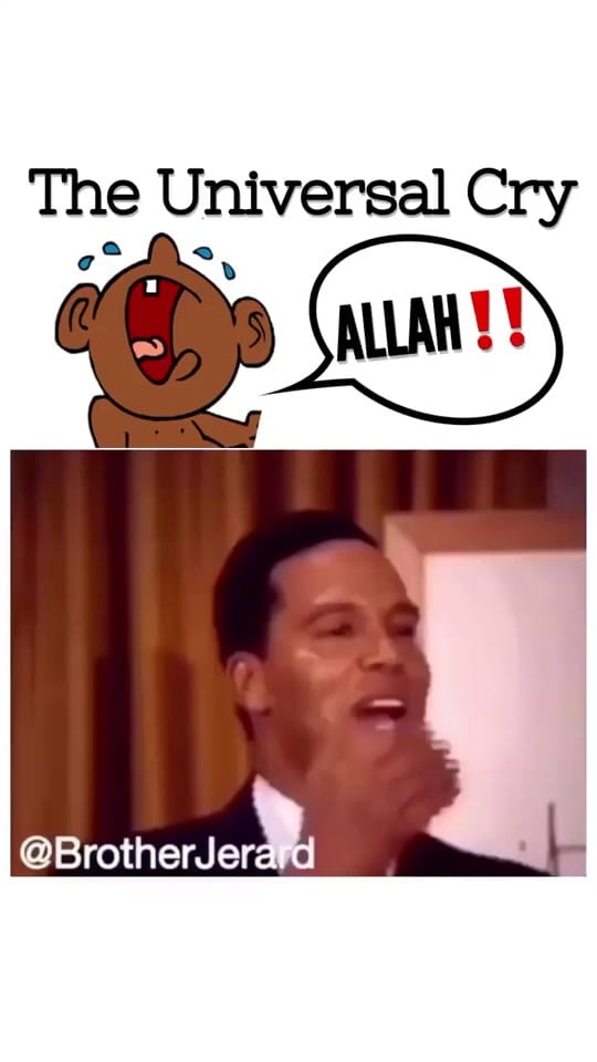 Post 1 by NOIvids on TikTok (video)