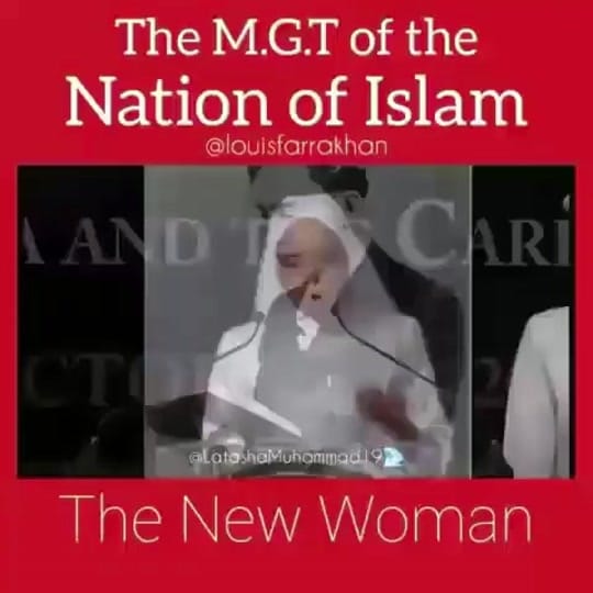 Post 2 by NOIvids on TikTok (video)