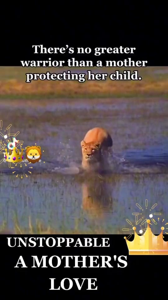 Post 10 by 👑💞✝️⚔🦁Adriana Reyes🕊🙏🦅🛡 on TikTok (video)