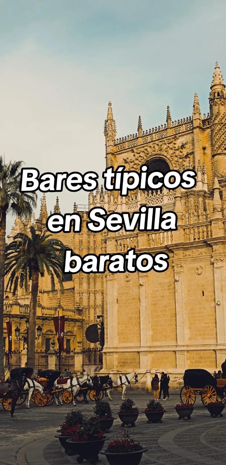 Post 8 by Carmenro| Viajemos juntos 🩵✈️ on TikTok (video)