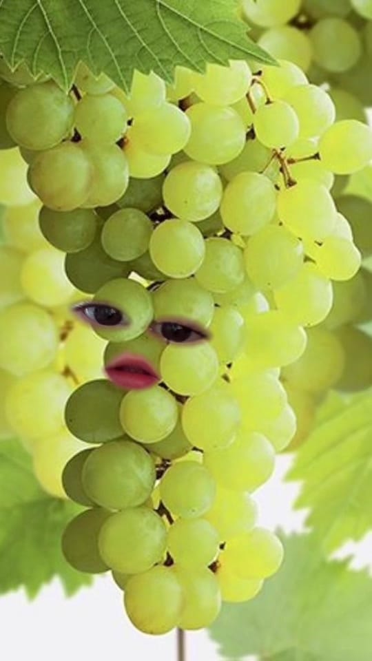Post 5 by Sharna ~ Salté on TikTok (video)