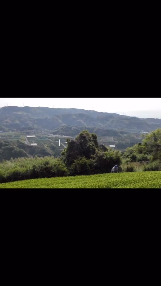 Post 4 by Shiro Gelato & Snack on TikTok (video)