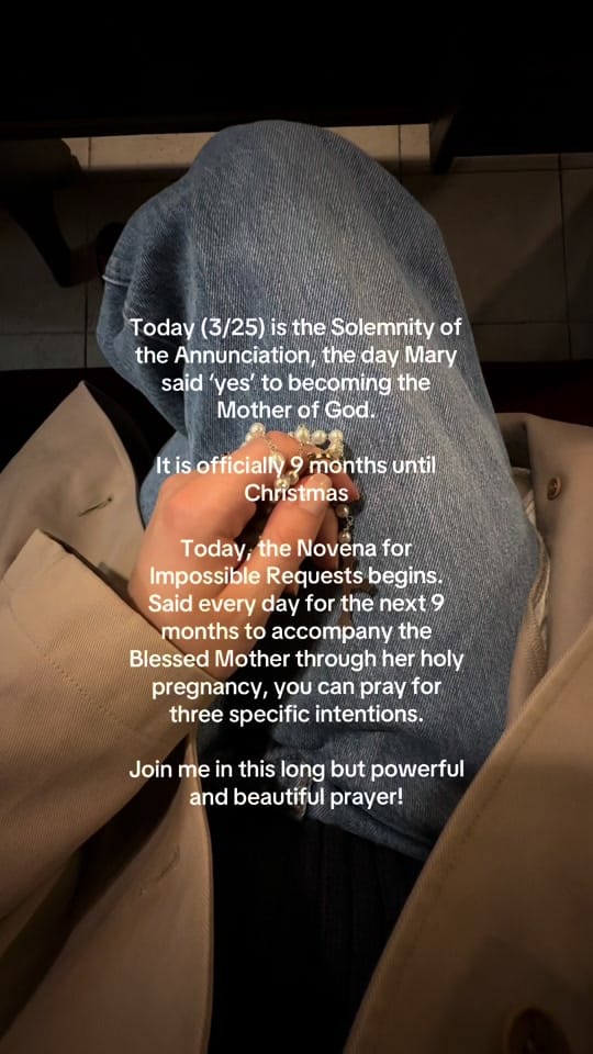 Post 4 by Natalie Zadrima on TikTok (video)