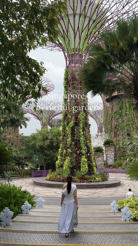 Post 9 by susanxl on TikTok (video)