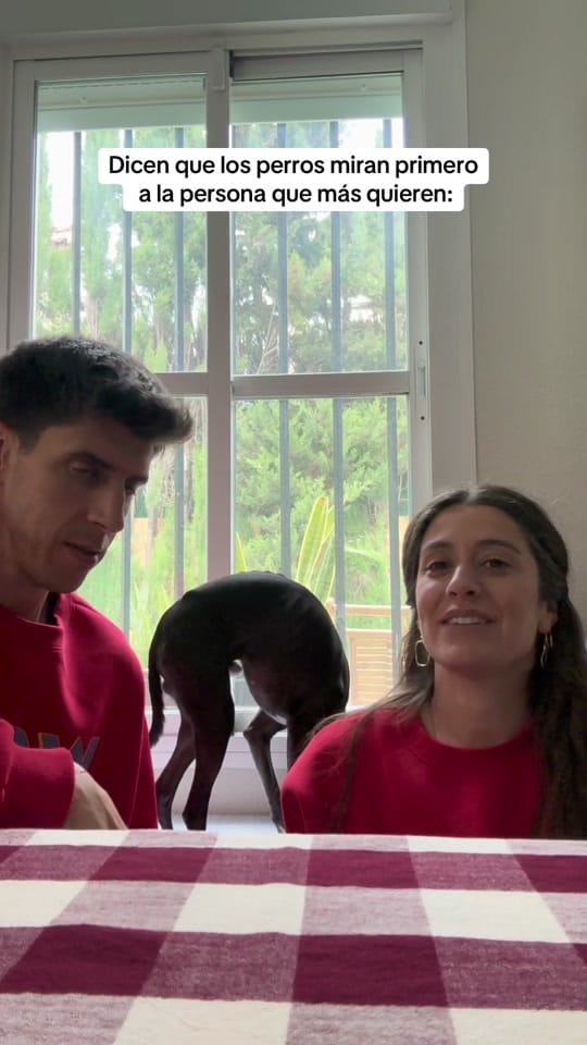 Post 5 by Sandra Morillo on TikTok (video)