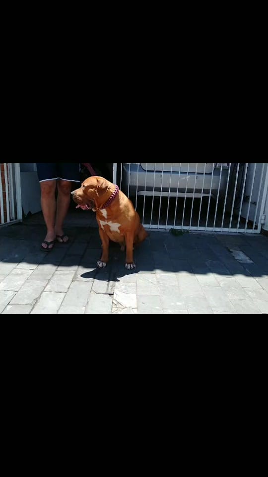 Post 4 by jean baldibia on TikTok (video)