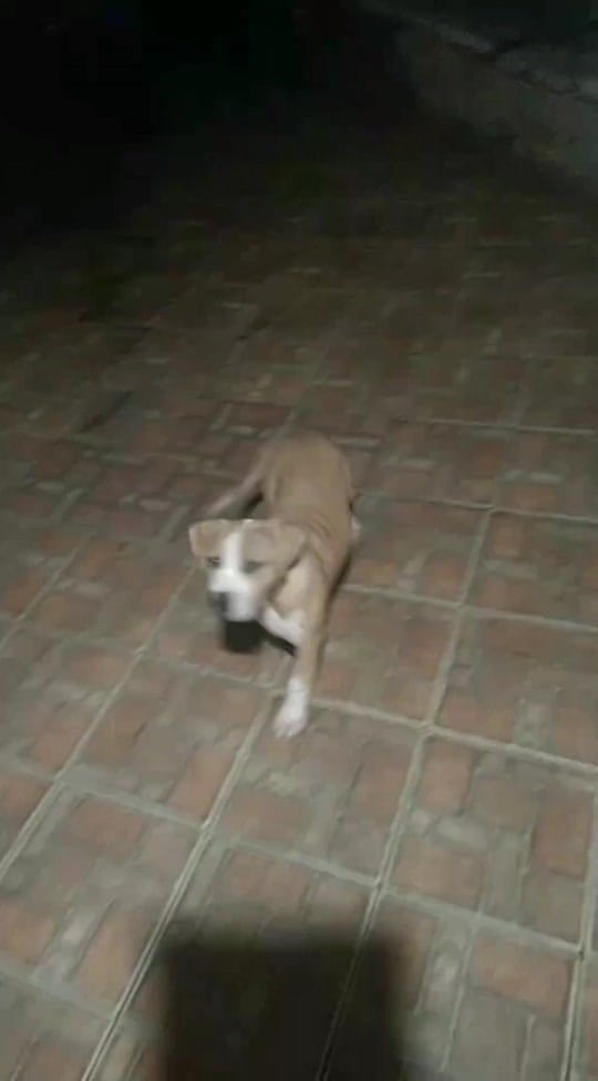 Post 10 by jean baldibia on TikTok (video)