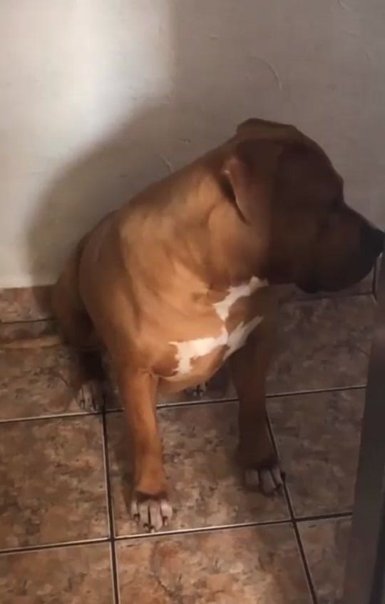 Post 6 by jean baldibia on TikTok (video)