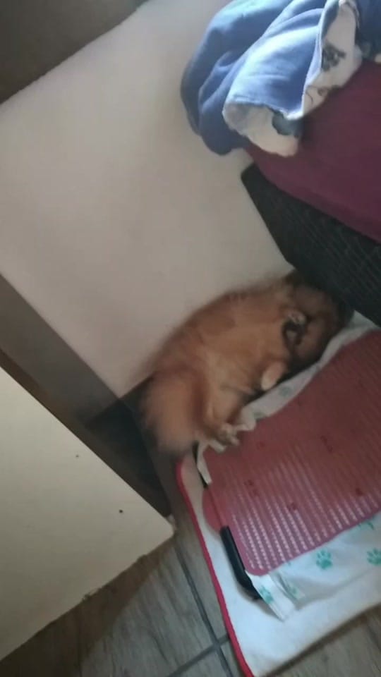 Post 3 by jean baldibia on TikTok (video)