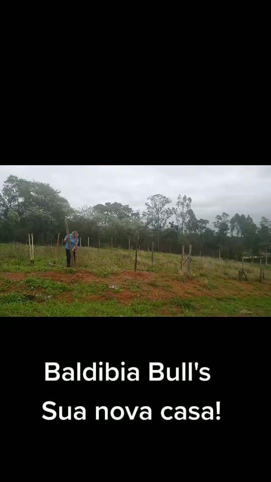 Post 5 by jean baldibia on TikTok (video)