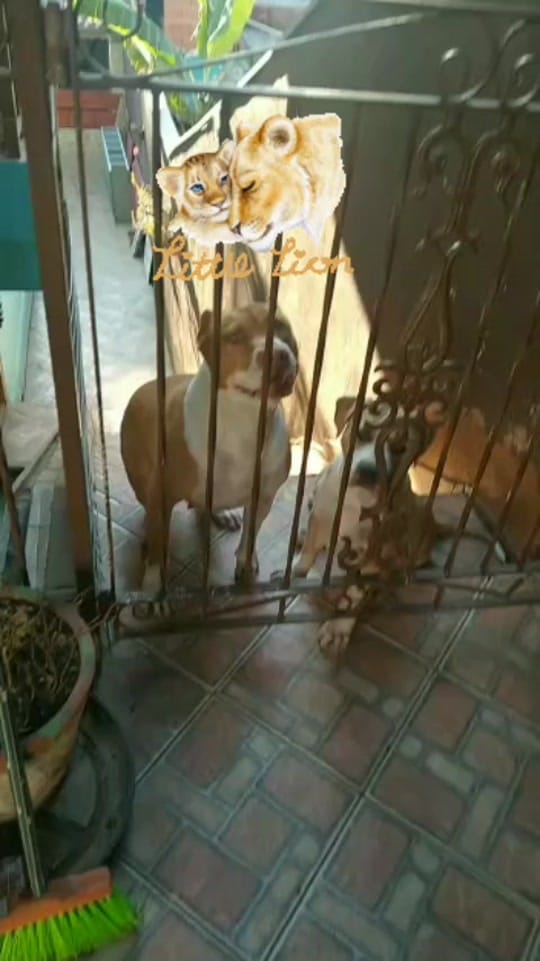 Post 8 by jean baldibia on TikTok (video)