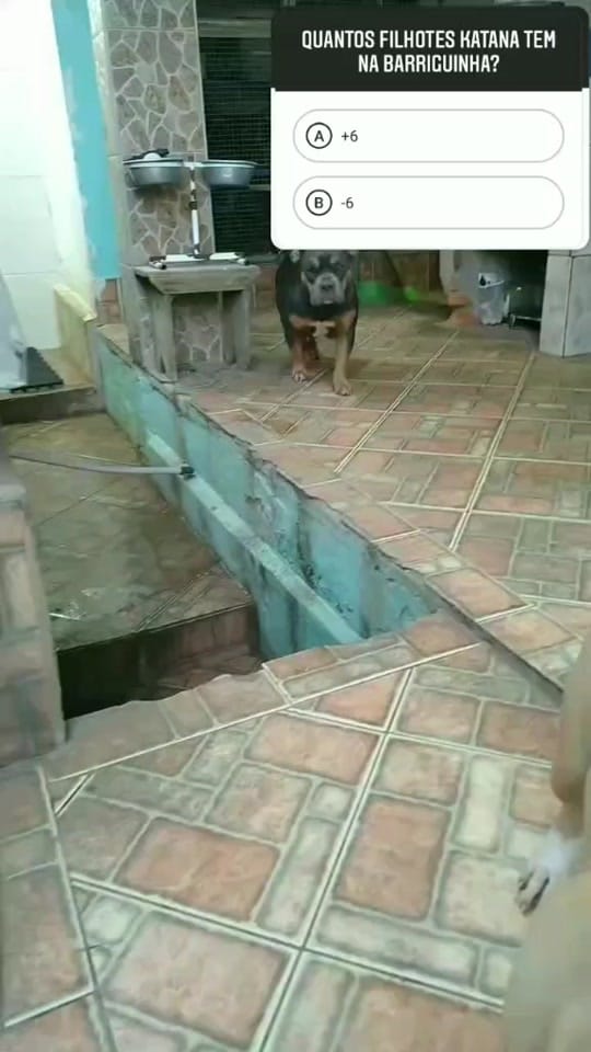 Post 9 by jean baldibia on TikTok (video)